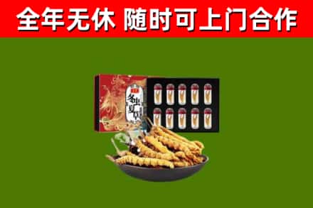 上饶回收冬虫夏草价格